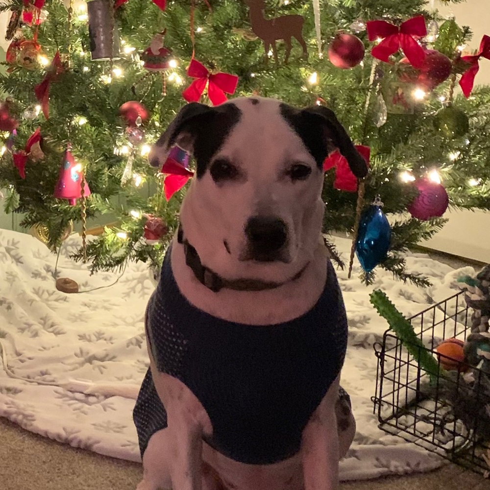 Meet your Posher, Brendalee